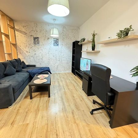 Lipatti 15 Premium Apartments By Glam Apartments 蒂米什瓦拉 外观 照片